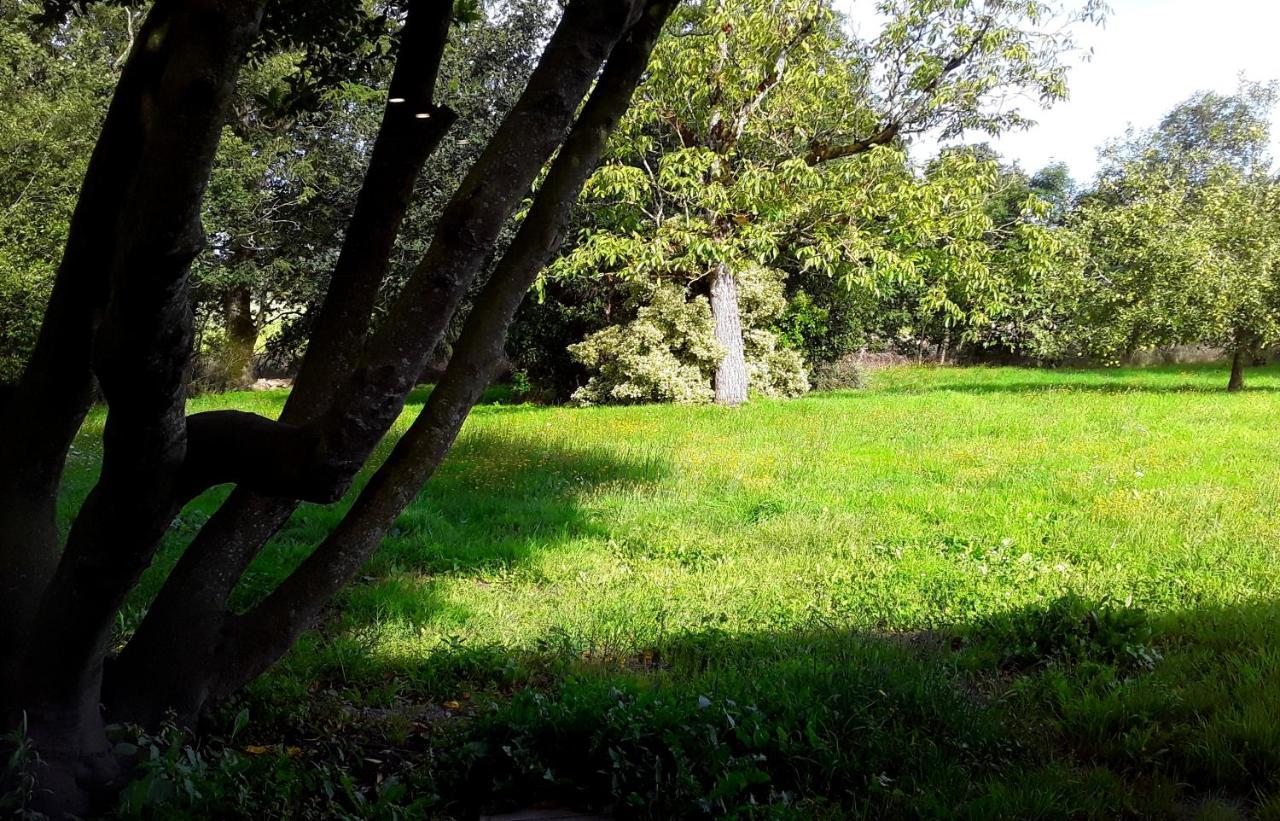 Domaine De La Tranquillite V Villa Noyal-Muzillac Buitenkant foto